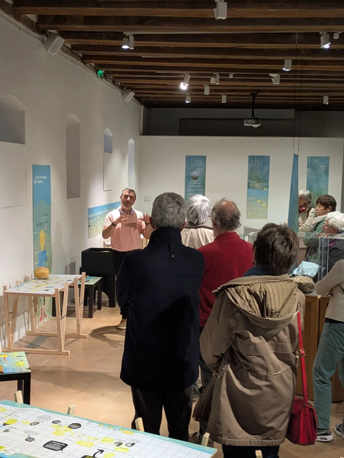 Visite guidée l L'exposition Sous l'océan, l'Alsace