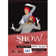 Le show des Anodins  au Hönig Ibis Styles