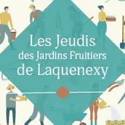 Stage – Des prunes et des mirabelles