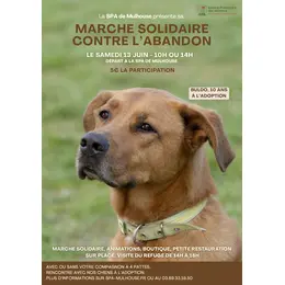 Marche solidaire contre l’abandon organisée par la SPA de Mulhouse