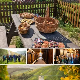 Petits Déjeuners dans les Vignes – Saveurs, Vues & Vins d’Alsace !