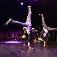 Tridiculous &copy; Alena Klinger