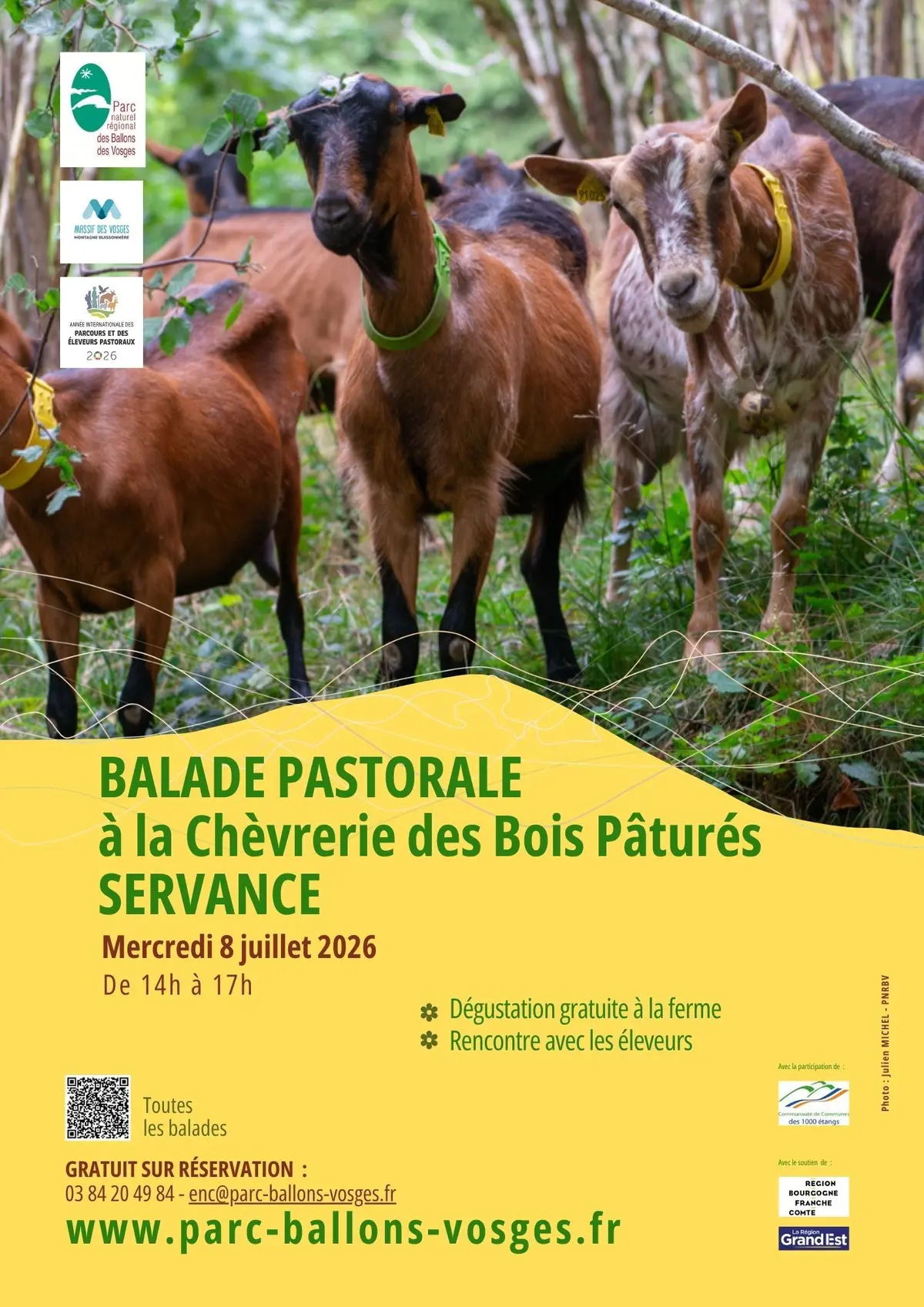 Balade pastorale à la Chèvrerie des Bois Pâturés