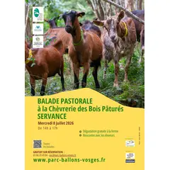 Balade pastorale à la Chèvrerie des Bois Pâturés