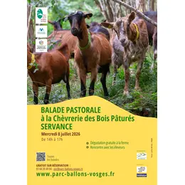 Balade pastorale à la Chèvrerie des Bois Pâturés