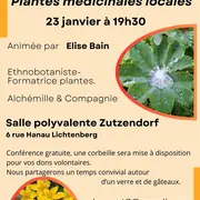 Plantes médicinales locales