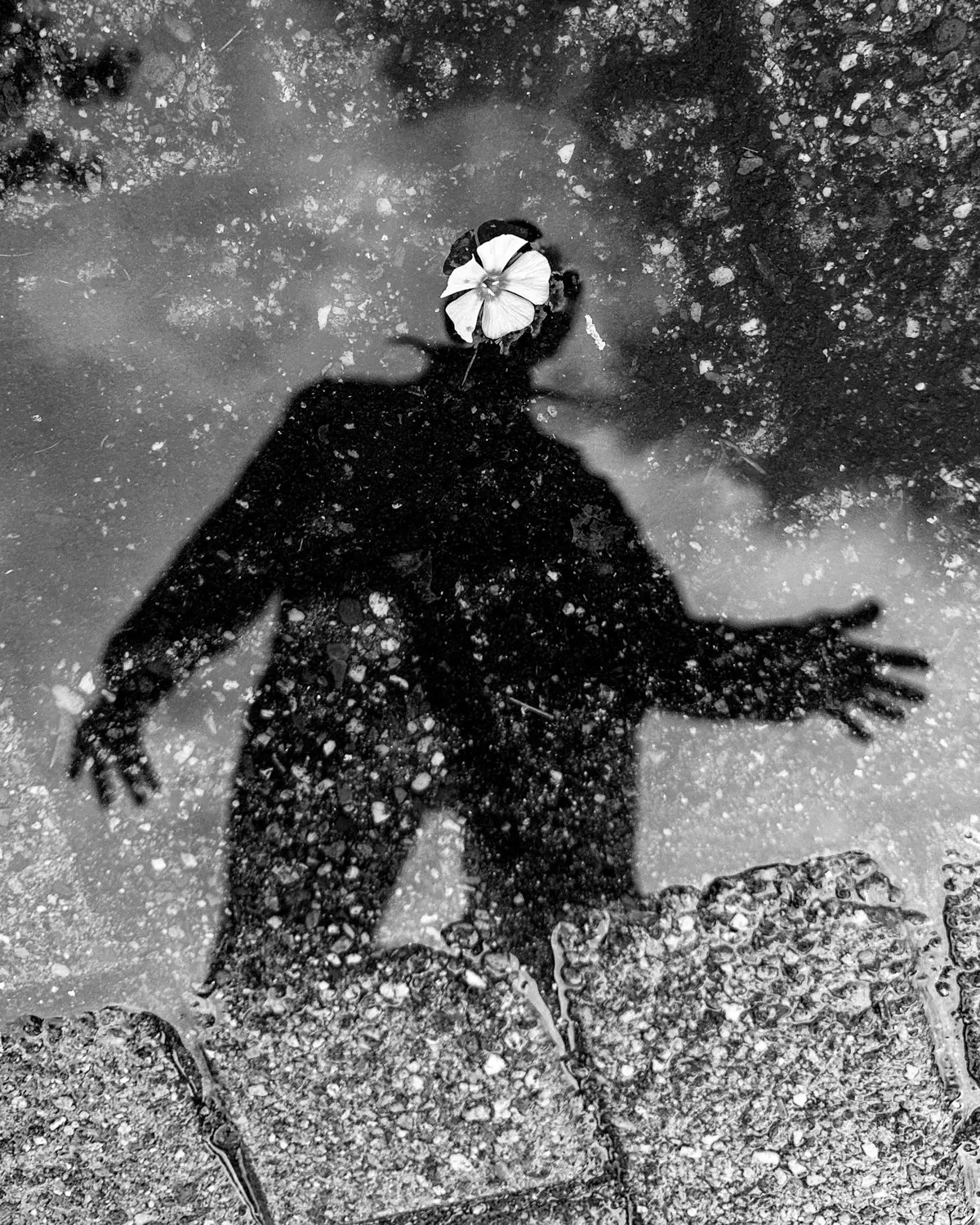 Sarah van Rij — Atlas des Échos