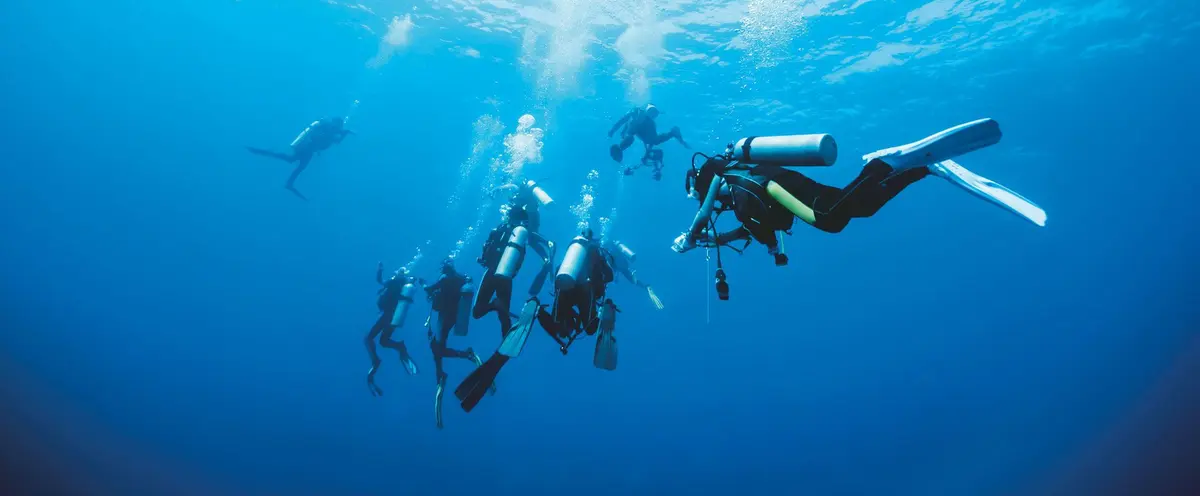 Baptême de plongée - formations niveaux 1/2/3 nitrox rifap 
