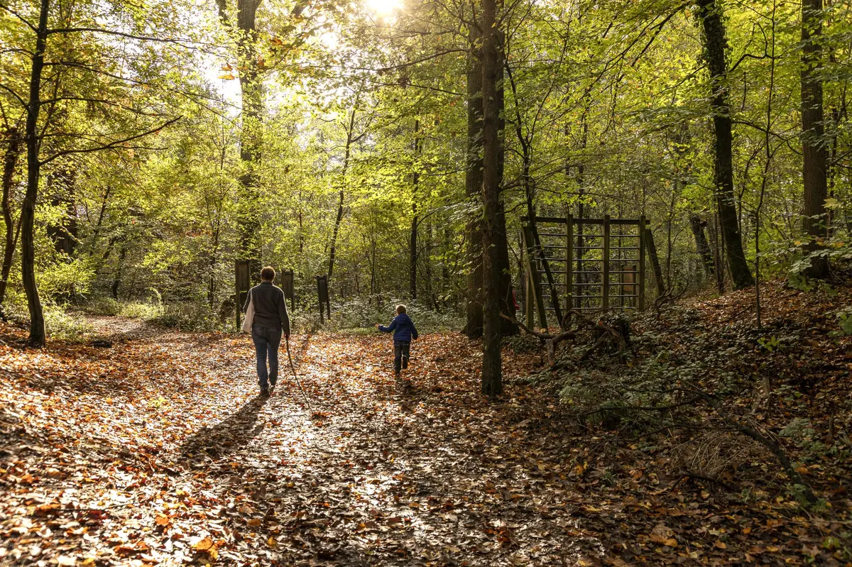 Balade nature : Arbre quel est ton nom ? 