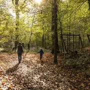 Balade nature : Arbre quel est ton nom ? 