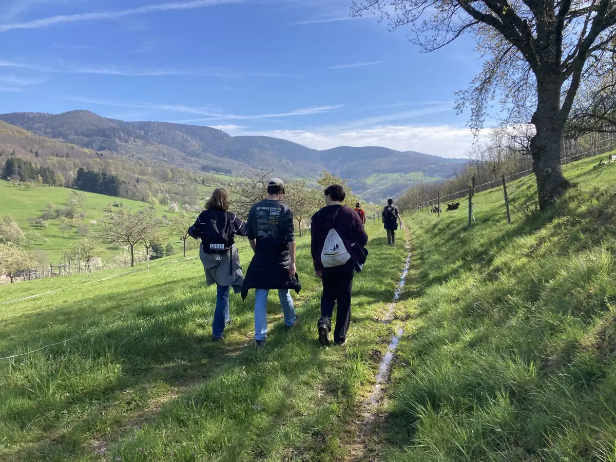 Marche du Temps Profond