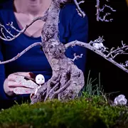 L’ARBRE - Cie Via Verde (57)