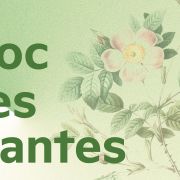 Journées du Patrimoine : Troc des plantes :  échanges et conseils botaniques au FRAC Alsace !