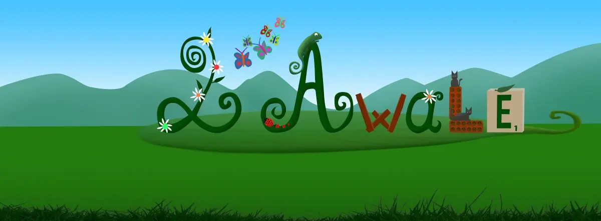 L'Awalé café ludique