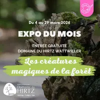 « Les créatures magiques de la forêt » par Tania Benera au Domaine du HIRTZ &copy; Domaine du Hirtz