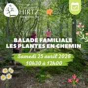 Balade familiale Les plantes en chemin avec Isabelle Mazzara 