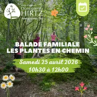 Balade familiale Les plantes en chemin avec Isabelle Mazzara  &copy; Domaine du HIRTZ