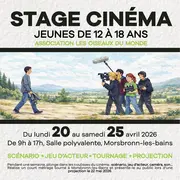 Stage Cinéma - Jeunes de 12 à 18 ans