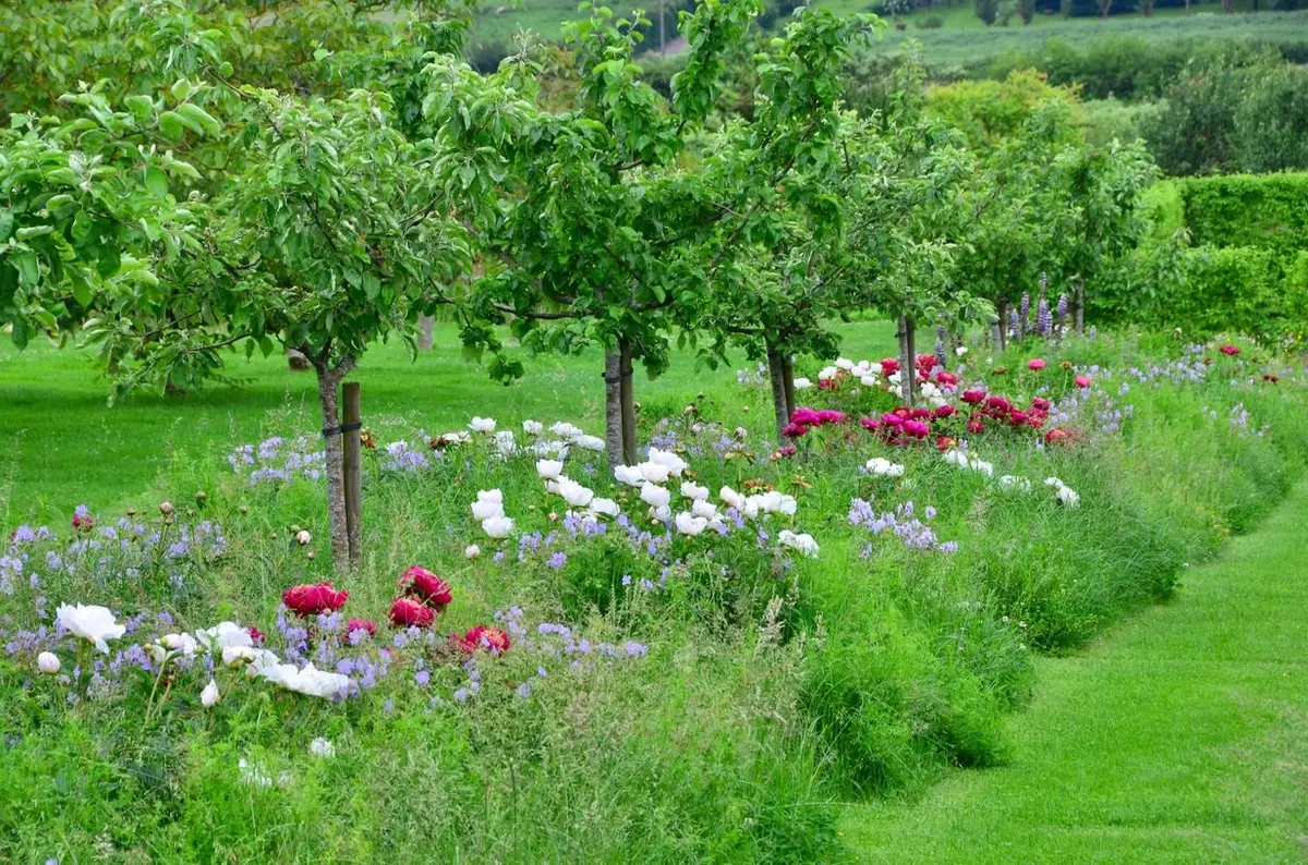 Vente d’arbres et de plants fruitiers