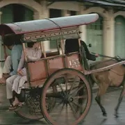 Invitation au voyage : les Alsaciens à la découverte du monde 