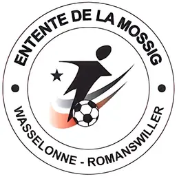 Vide Grenier de L'as Wasselonne 