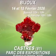 Salon minéraux, fossiles, bijoux de créateur.