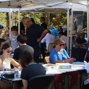 Festival du jeu en Lauragais