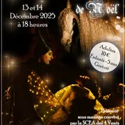 Le Grand Spectacle de Noël