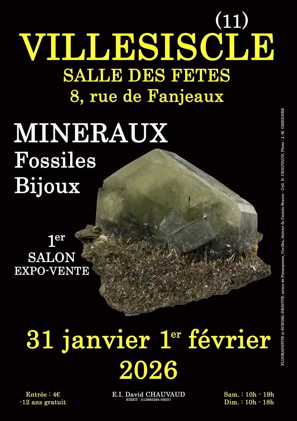 1er SALON Minéraux Fossiles Bijoux de VILLESISCLE (Aude)