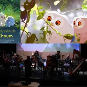 No Limit Orchestra | L\'Odyssée de Choum