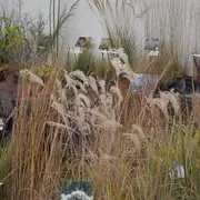 Foire Plantes et Nature