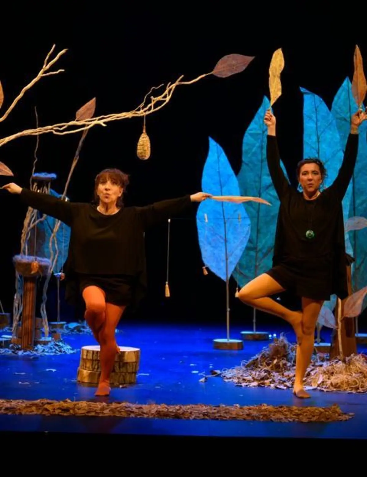 Spectacle : Drôles d'Oizo