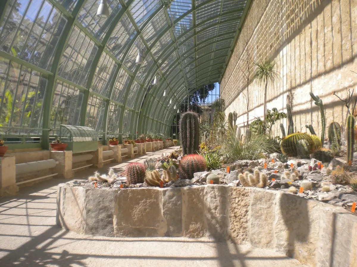 Visite gratuite de la Serre Martins du Jardin des Plantes : Cactus, ...
