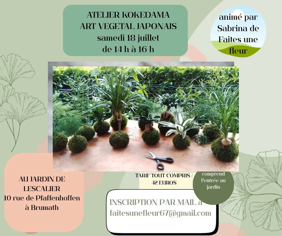 Atelier Kokedama art végétal japonais
