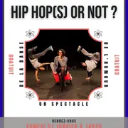 Hip hop(s) or not ? #REMIX