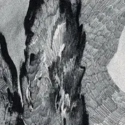 Exposition Le Vent dans les Cyprès I Laëtitia Grün