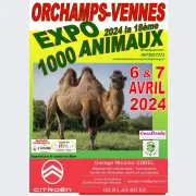 Exposition les 1000 animaux Orchamps-Vennes