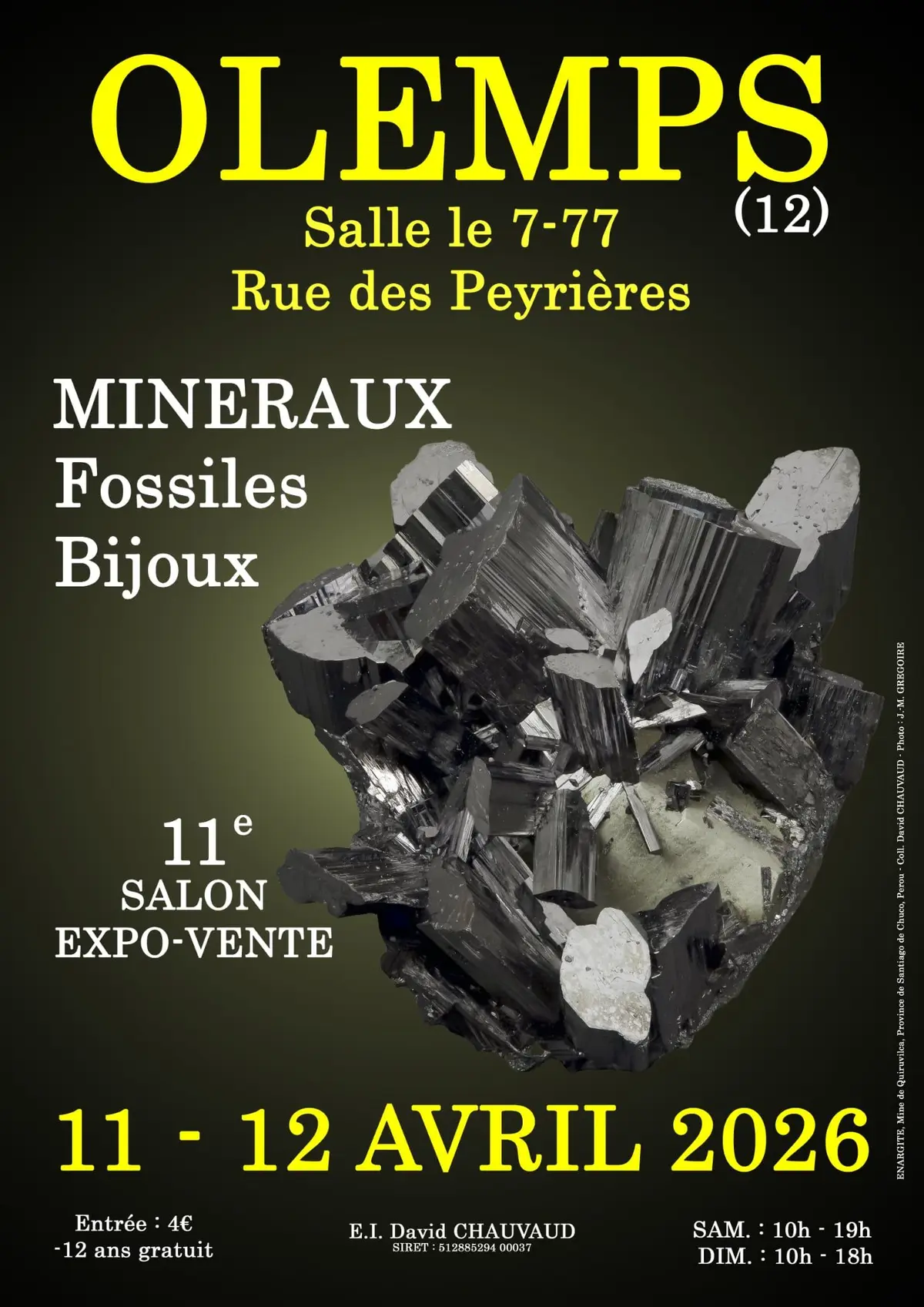 11e SALON Minéraux Fossiles Bijoux de OLEMPS (Aveyron)