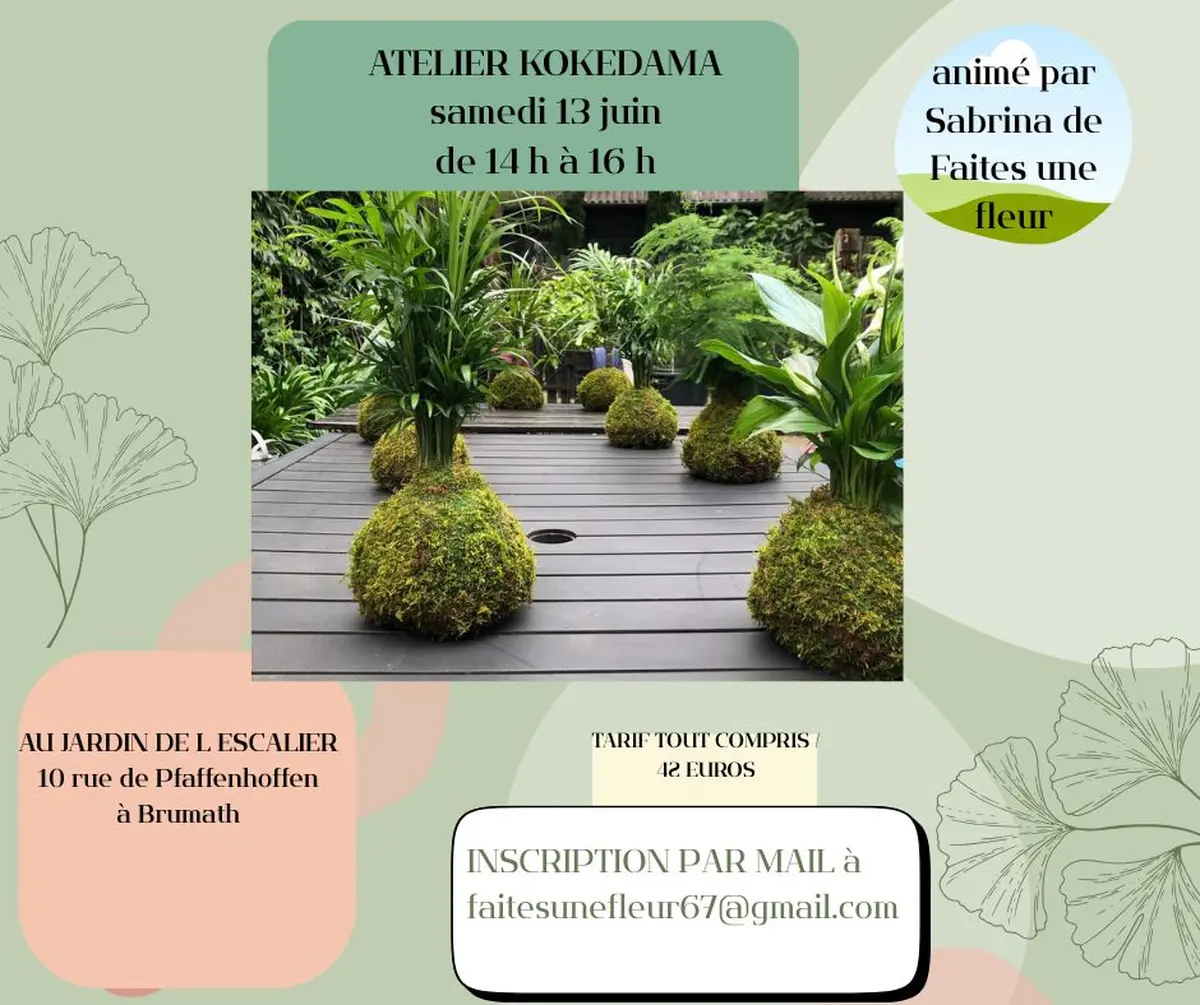 Atelier Kokedama art végétal japonais