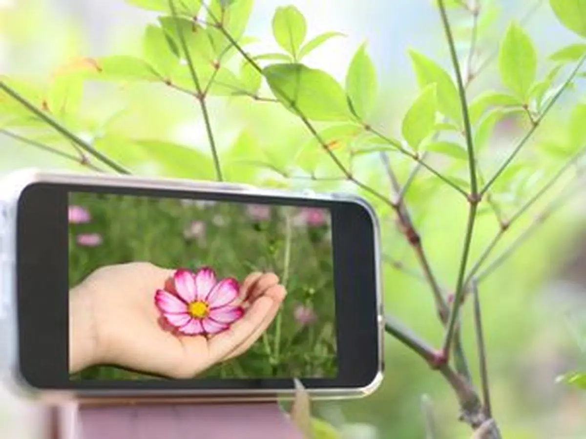 Sortie nature : les applications nature pour smartphone