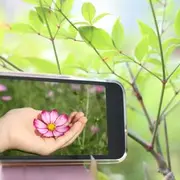 Sortie nature : les applications nature pour smartphone
