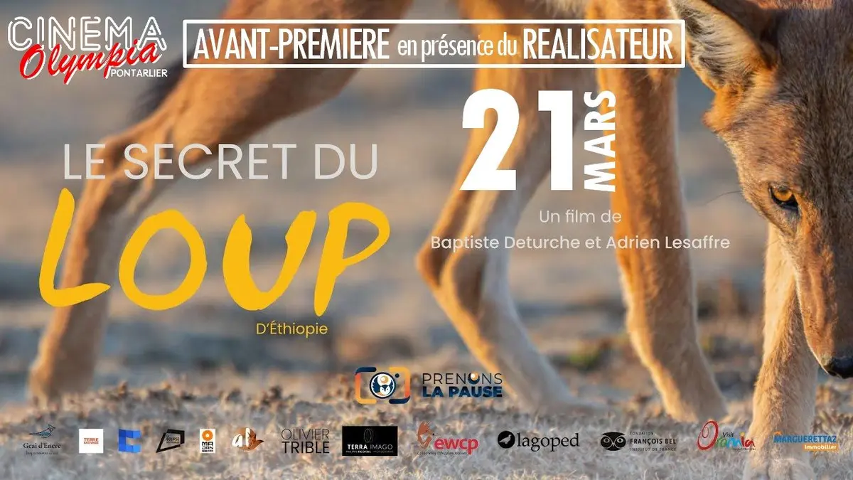 le Secret du Loup d'Ethiopie - Echange avec le Réalisateur