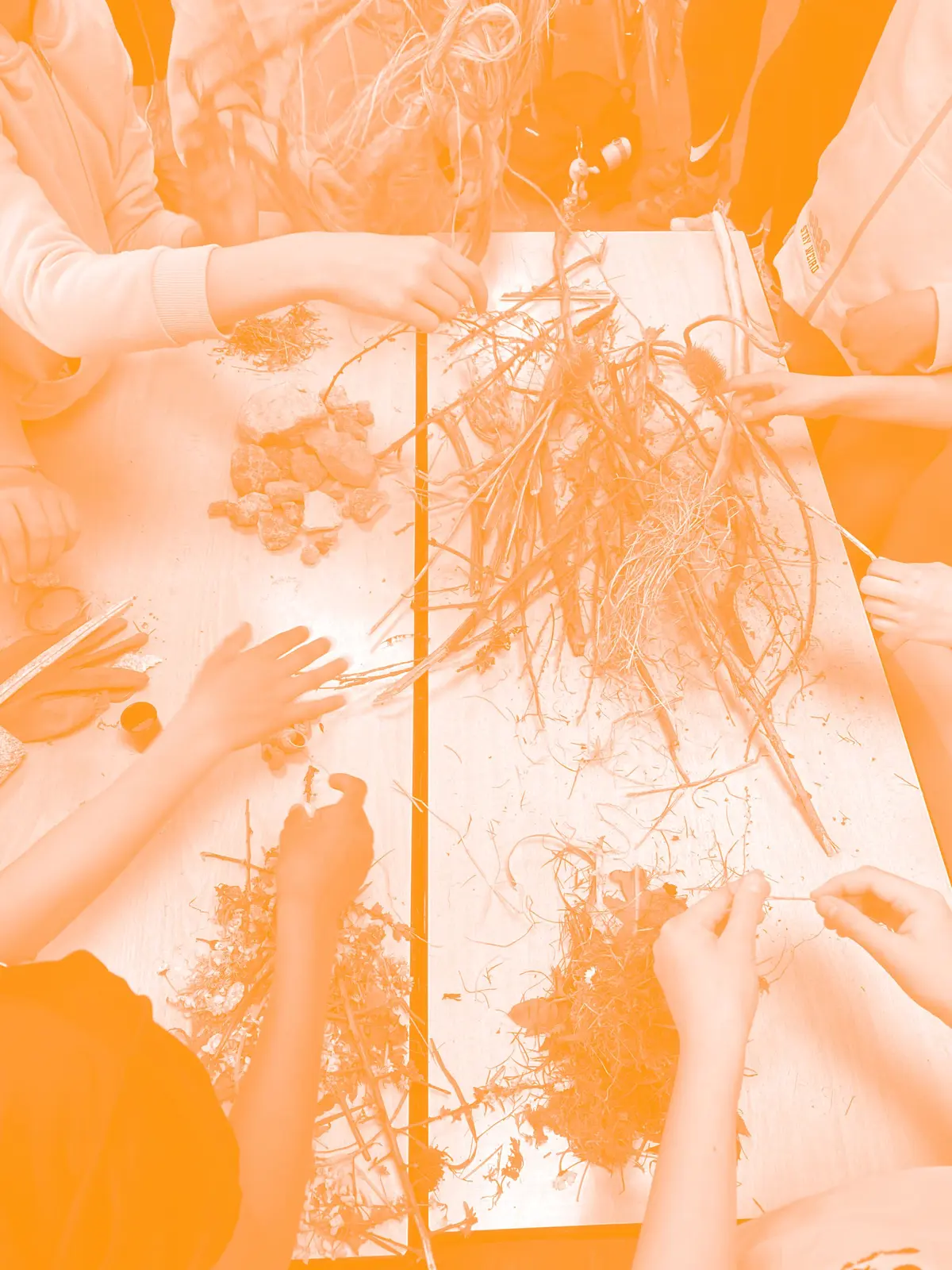 Stage de pratique artistique | Petits vacarmes & grands bruissements