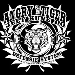 Angry Tiger / Defensif System