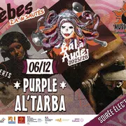 Soirée électro  – le 6 décembre  – DJ sets de AL’TARBA + PURPLE