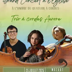 À l’ombre du quatuor à cordes. LES GRANDS TRIOS À CORDES