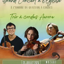 À l’ombre du quatuor à cordes. LES GRANDS TRIOS À CORDES