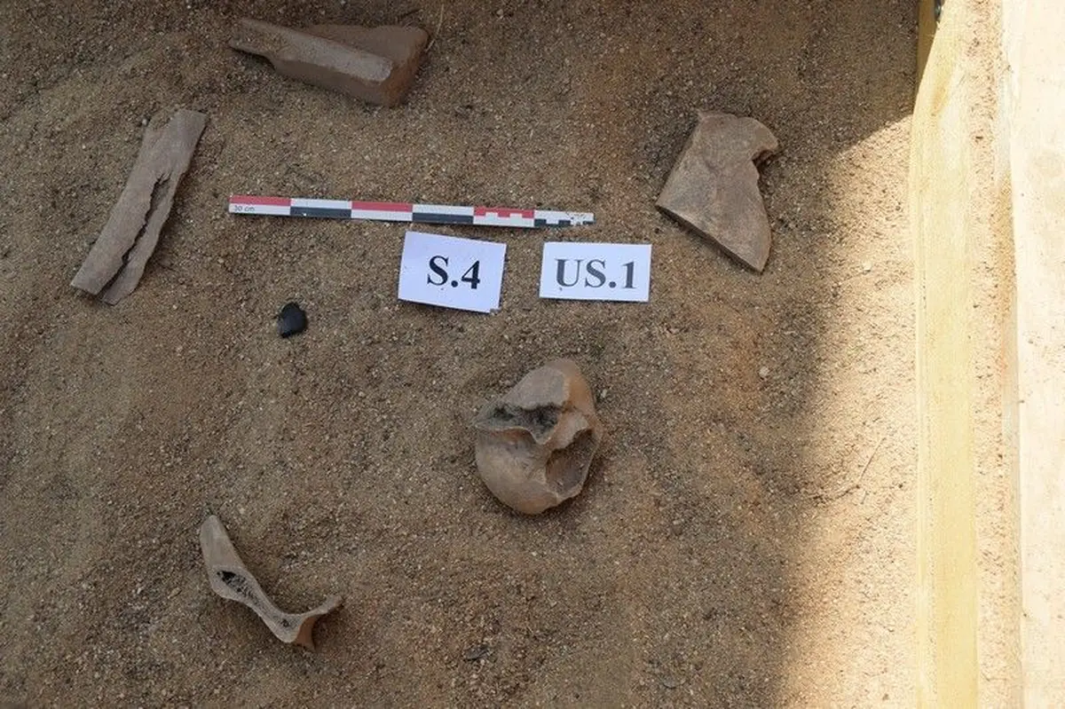 Journées Européennes de l'archéologie Initiation à la fouille archéologique