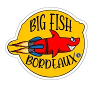 Rencontres amicales Festival Stereoparc By Big Fish Bordeaux
