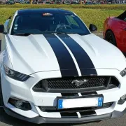 Exposition de Ford Mustang